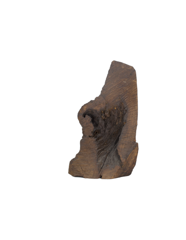 Пресвятая Богородица Всецарица...