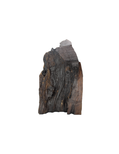 Прабабушка,Бабушка и Мама Спасителя...