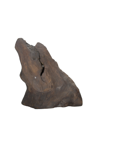 Святой Пророк Илия