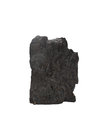 Virgin Mary the Sweetheart