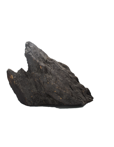 Παναγία η Γλυκοφιλούσα