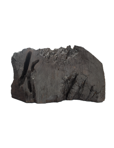 Бегство в Египет