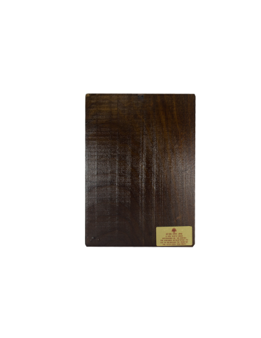 Virgin Mary the Portress