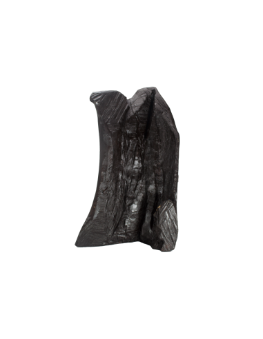 Святой Пантелеймон Целитель