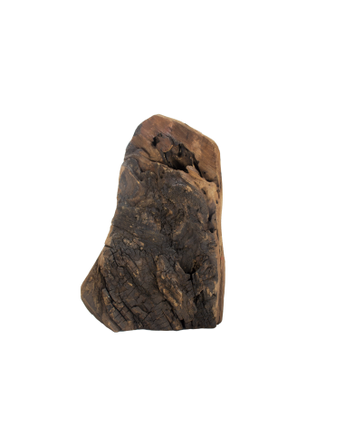 Virgin Mary the Portress