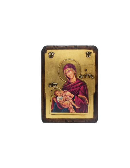 Пресвятая Богородица Млекопитательница икона со Святой Горы Афон