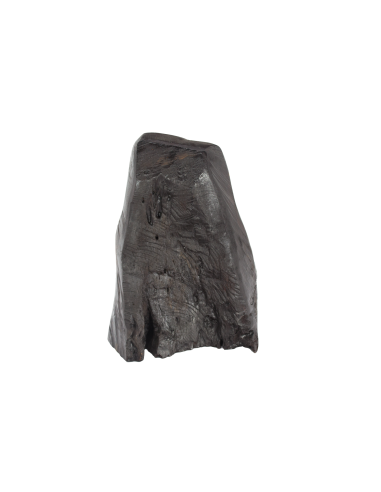 Αγία Οικογένεια