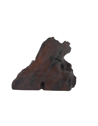 Παναγία η Γλυκοφιλούσα