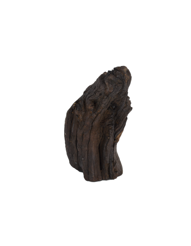 Святая Ольга Равноапостольная Княгиня