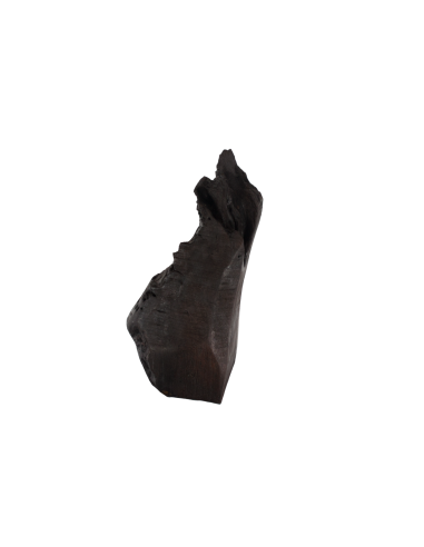 Ангел Бога (Ангел Хранитель)