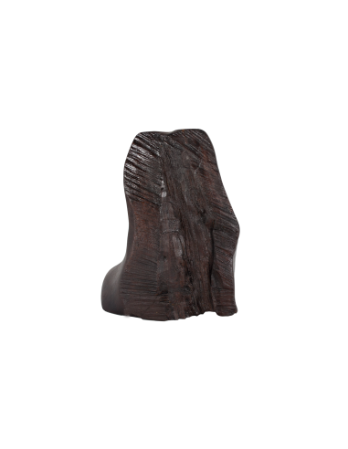 Святой Великомученик Димитрий