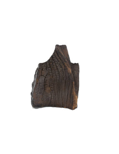 Άγιος Βλαδίμηρος