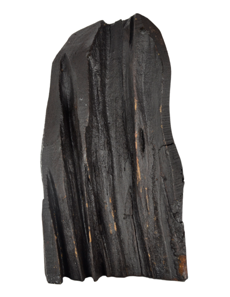 Παναγία η Γλυκοφιλούσα σε κορμό