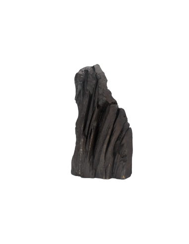 Ιησούς Χριστός προσευχών