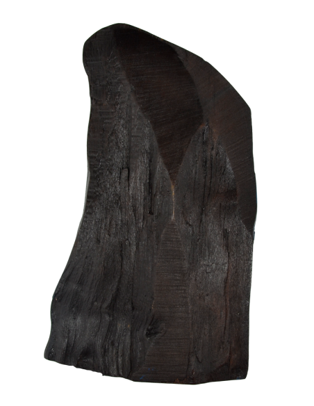 Παναγία η Γλυκοφιλούσα σε κορμό