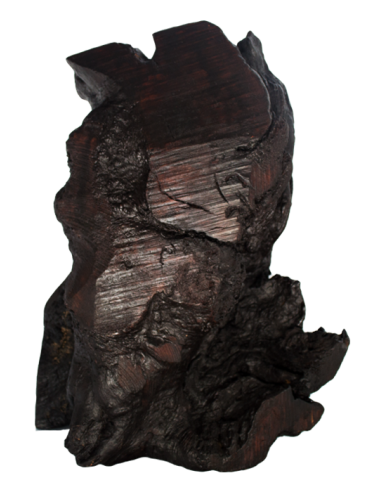 Virgin Mary the Sweetheart