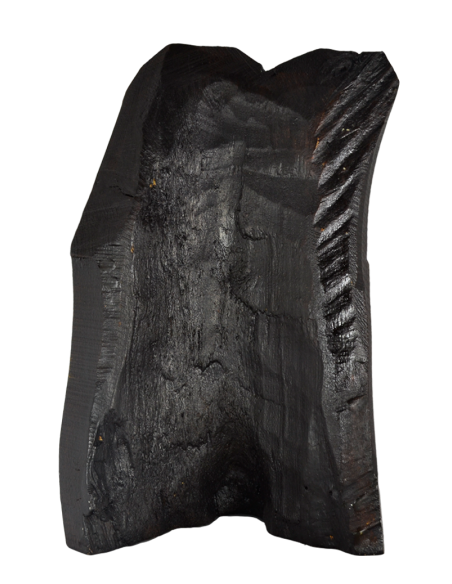 Παναγία η Γλυκοφιλούσα σε κορμό