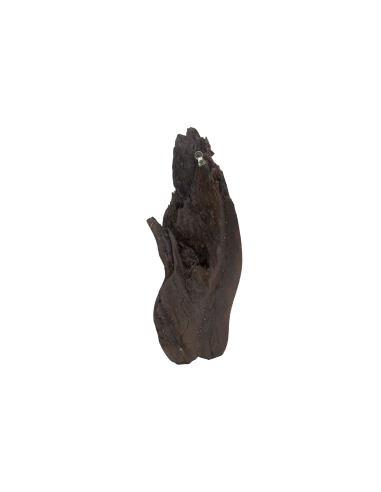 Virgin Mary the Portress