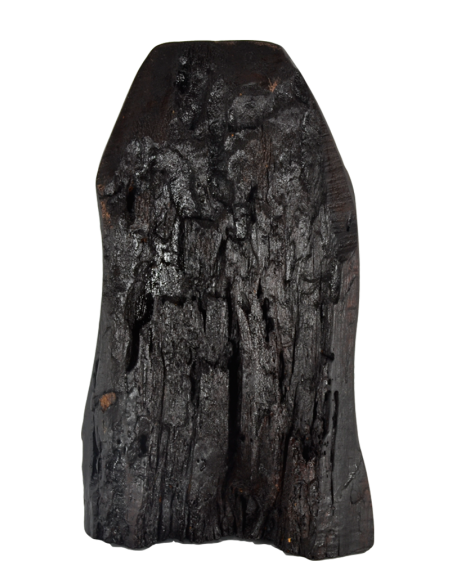 Παναγία η Γλυκοφιλούσα σε κορμό