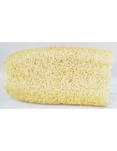 Lufa plant sponge