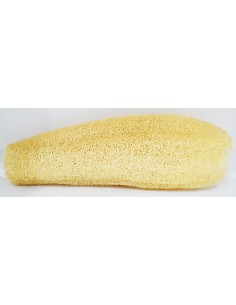 Lufa plant sponge