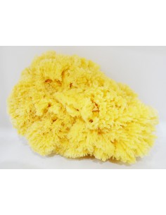 Natural Sponge