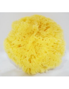 Natural Sponge