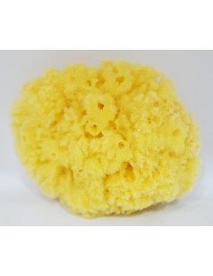 Natural Sponge
