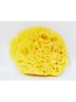 Natural Sponge