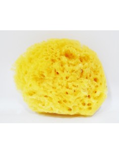 Natural Sponge