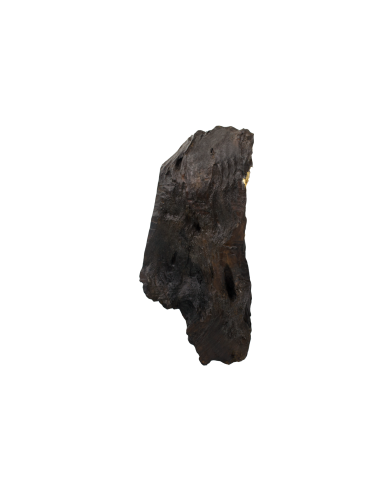 Παναγία η Γλυκοφιλούσα