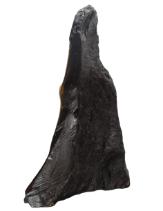 Παναγία η Γλυκοφιλούσα 2