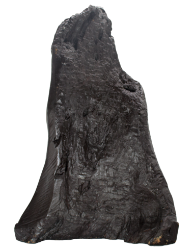 Παναγία η Γλυκοφιλούσα